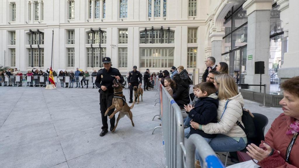 Exhibición canina en Cibeles por la celebración de San Antón.