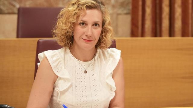 La portavoz de Podemos, Susana Hornillo.