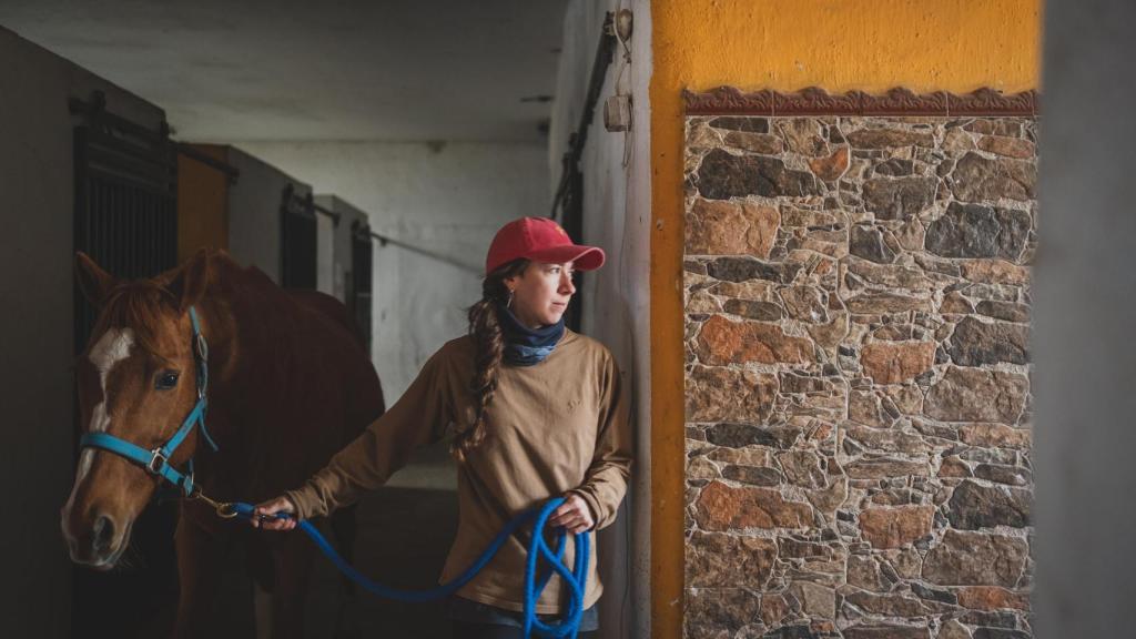 María Loro preparando a los caballos para su venta.