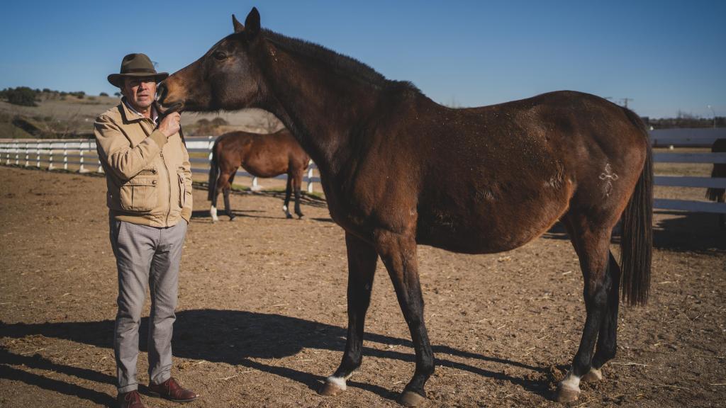Juan Manuel Loro con una de sus yeguas preñadas.