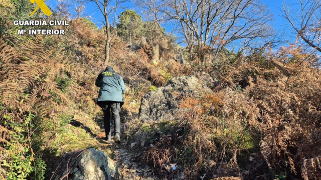 Hallan el cadáver de un anciano en Poyales del Hoyo