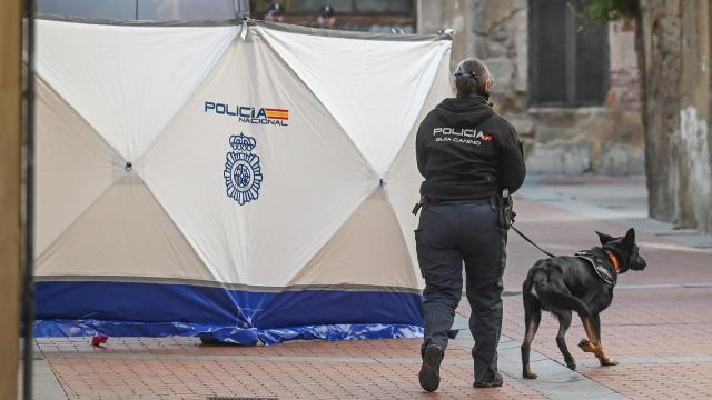 Paralizan la búsqueda de Marisa Villaquirán en una iglesia de Miranda de Ebro: los trabajos fueron “infructuosos”