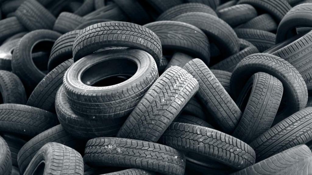 Signus ha recogió 215.000 toneladas de neumáticos, en 2024.
