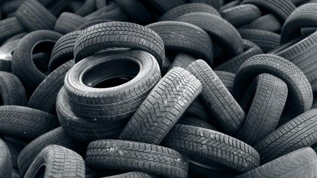 Signus ha recogió 215.000 toneladas de neumáticos, en 2024.