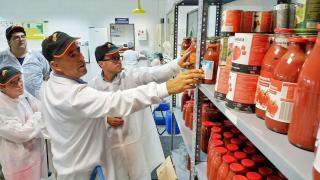 Miguel Ángel Gallardo, de fondo, durante una visita a una planta de procesamiento de tomates.