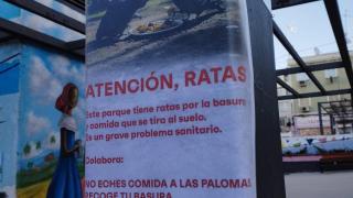Un cartel en la plaza del Poeta Leopoldo de Luis en el que se alerta de la presencia de ratas.