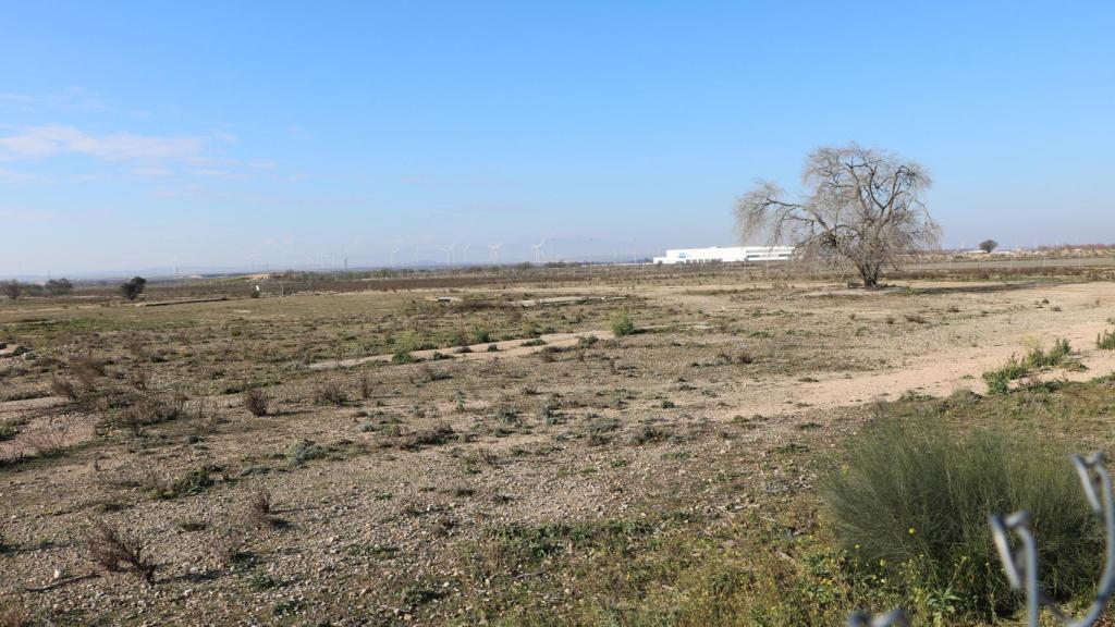 Terrenos donde se instalará la gigafactoría de Stellantis en Figueruelas.