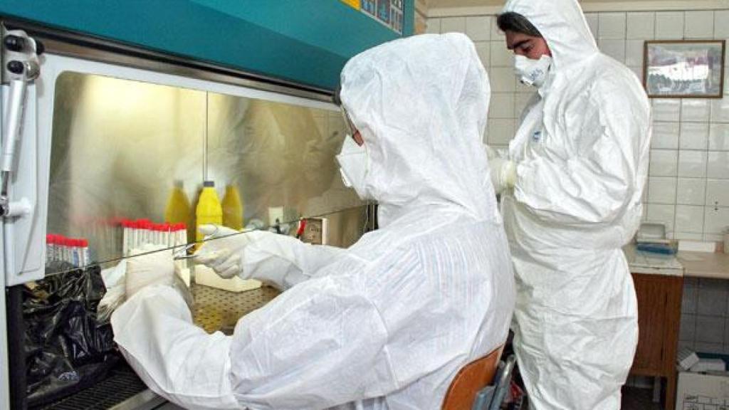 Dos técnicos del laboratorio Regional de León analizando muestras de pájaros.