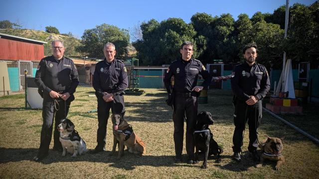 Algunos de los guías caninos en Málaga.