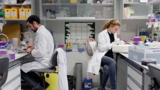 Dos investigadores, imagen de archivo