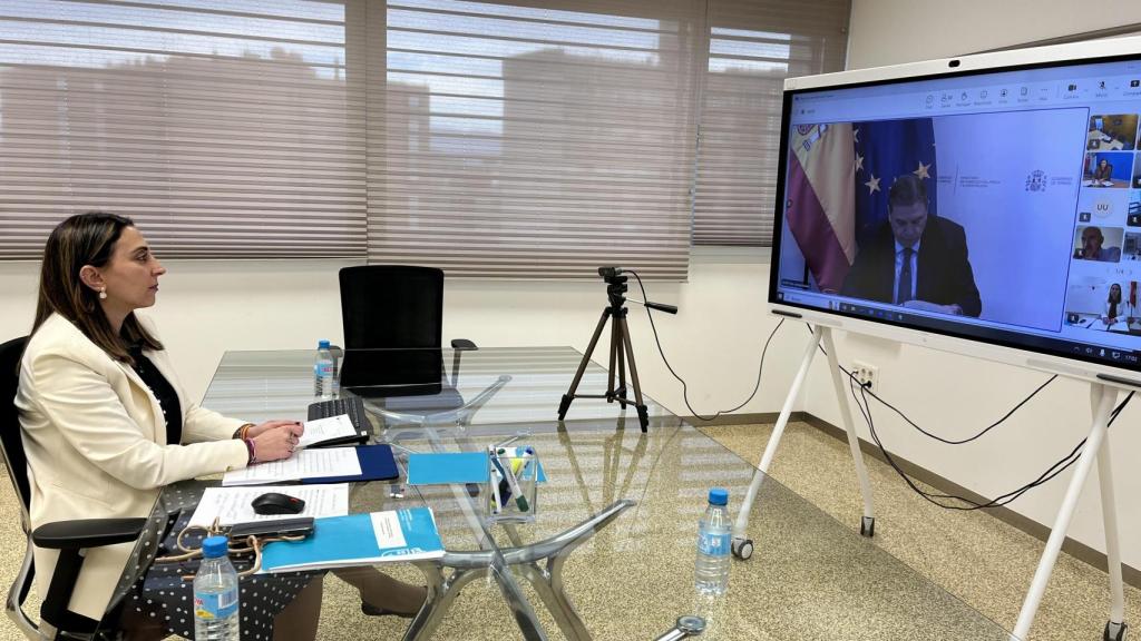 La consejera durante su intervención telemática en el Consejo Consultivo de Política Agrícola.