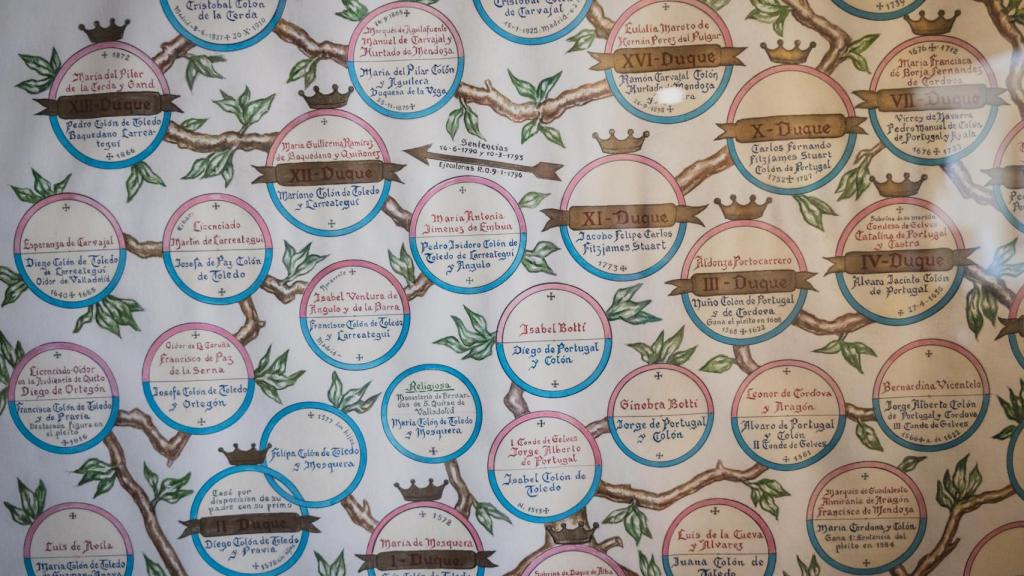 Árbol genealógico de los Colón a lo largo de los siglos.