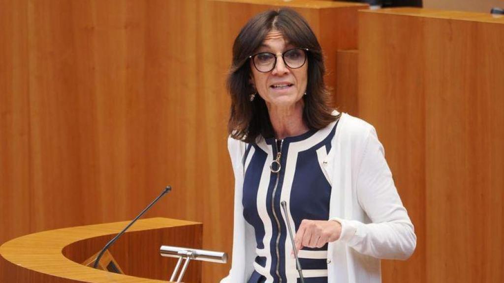 La portavoz adjunta del PP en las Cortes de Castilla y León, Mercedes Cófreces