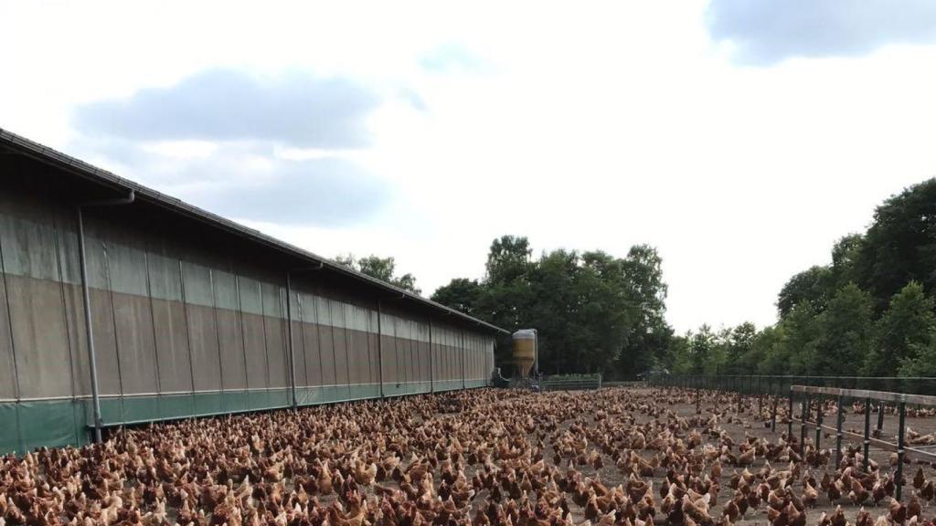 Granja de Rujamar. Foto: Rujamar.