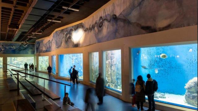 Aquarium de A Coruña.