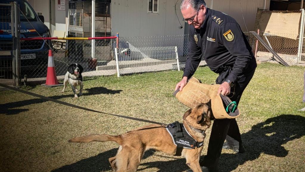 El subinspector Millán con Angola y Neo al fondo.