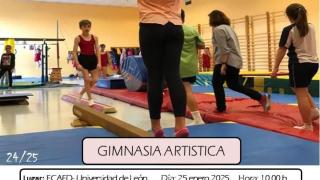 Gimnasia artística