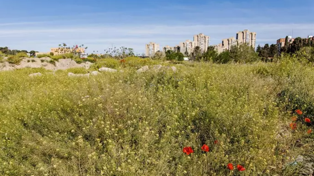 El Gobierno transfiere los terrenos de la antigua cárcel de Carabanchel a la nueva empresa pública de vivienda
