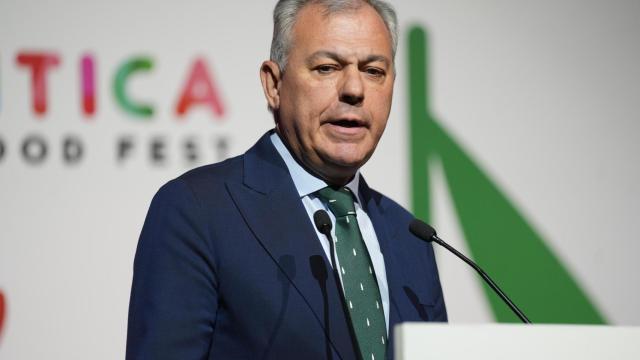 El alcalde de Sevilla, José Luis Sanz.