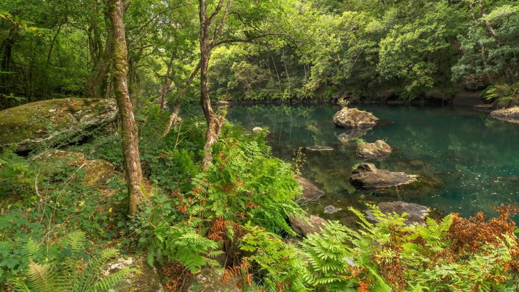 Parque natural Fragas do Eume