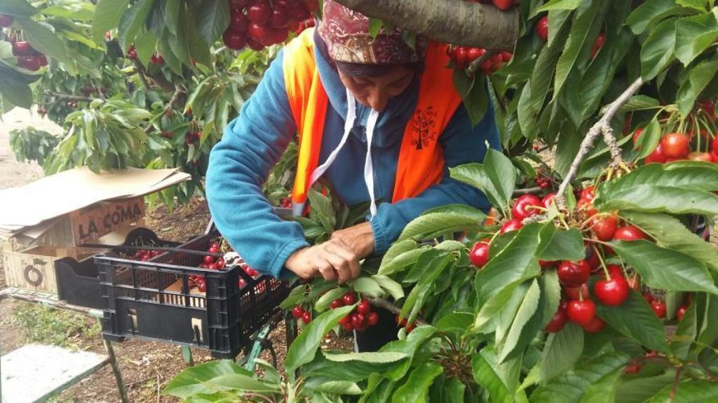 Aragón cuenta con casi 200 cooperativas agroalimentarias