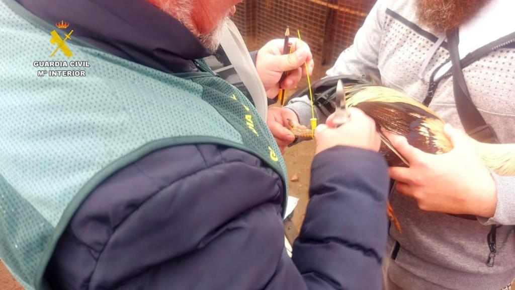 Una de las imagenes cedidas por la Guardia Civil