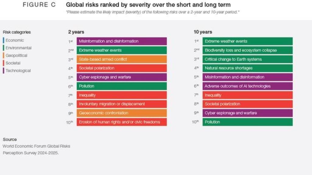 Fuente: https://es.weforum.org/publications/global-risks-report-2025/digest/
