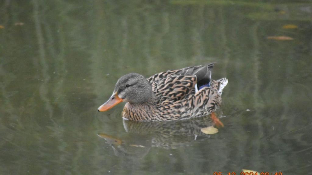 Una de las fotos de Francisco Romero en el parque.