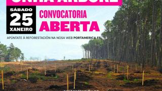 El festival PortAmérica celebra su iniciativa de reforestación anual: Centenas de árboles en 1,1 hectárea