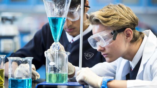 Colegio Internacional SEK El Castillo (Madrid).