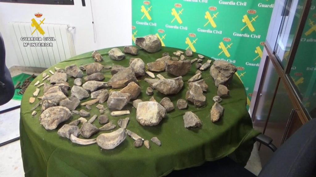 La Guardia Civil recupera más de 100 restos de mamuts expoliados de un yacimiento de Granada.