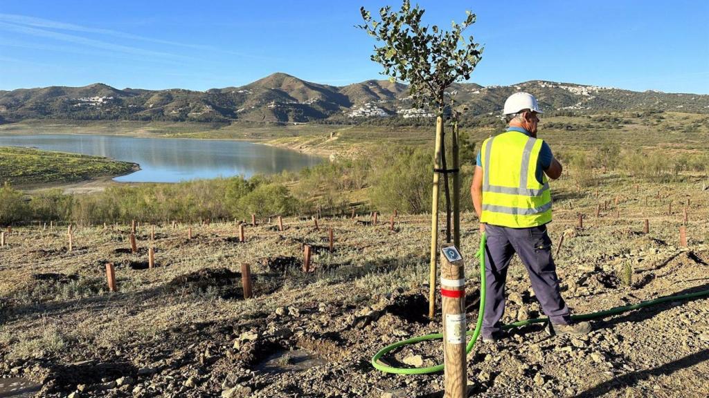 Trabajos en el área recreativa de La Viñuela.