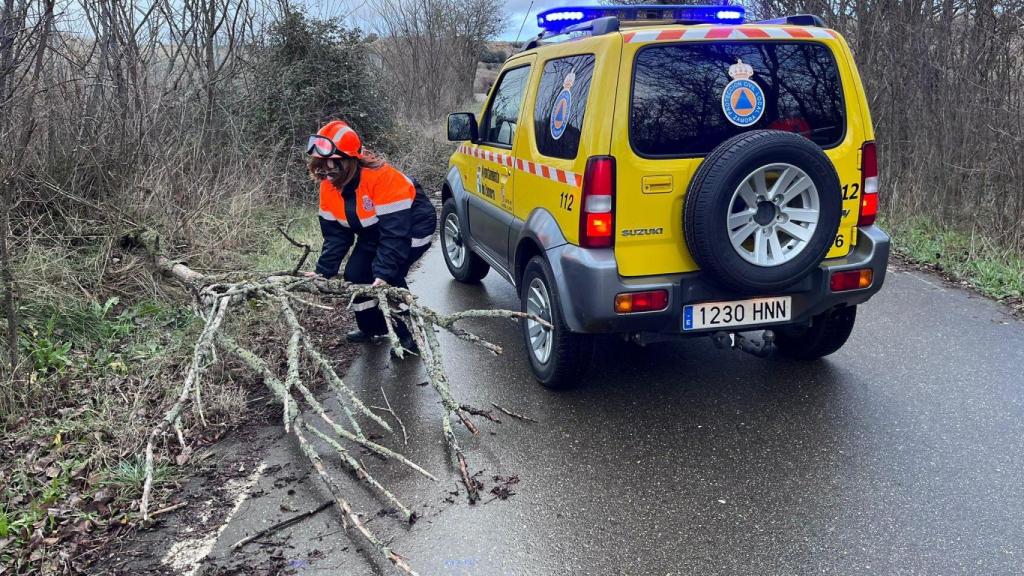 Incidentes del viento en Zamora por la borrasca 'Herminia'