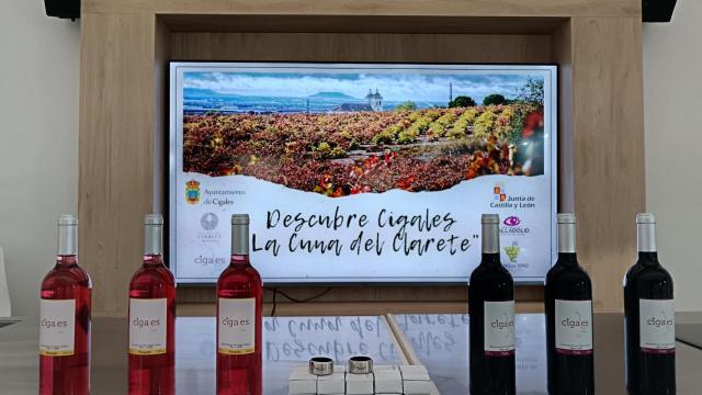 Los vinos de Cigales que han podido degustarse en Fitur
