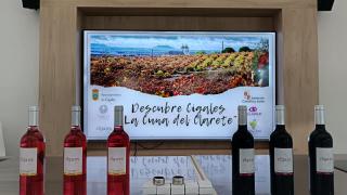 Los vinos de Cigales que han podido degustarse en Fitur