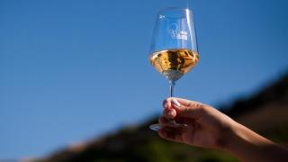 Ni Rioja ni Ribera: esta es la Denominación de Origen más antigua de España y del mundo (y las claves para conocerla)