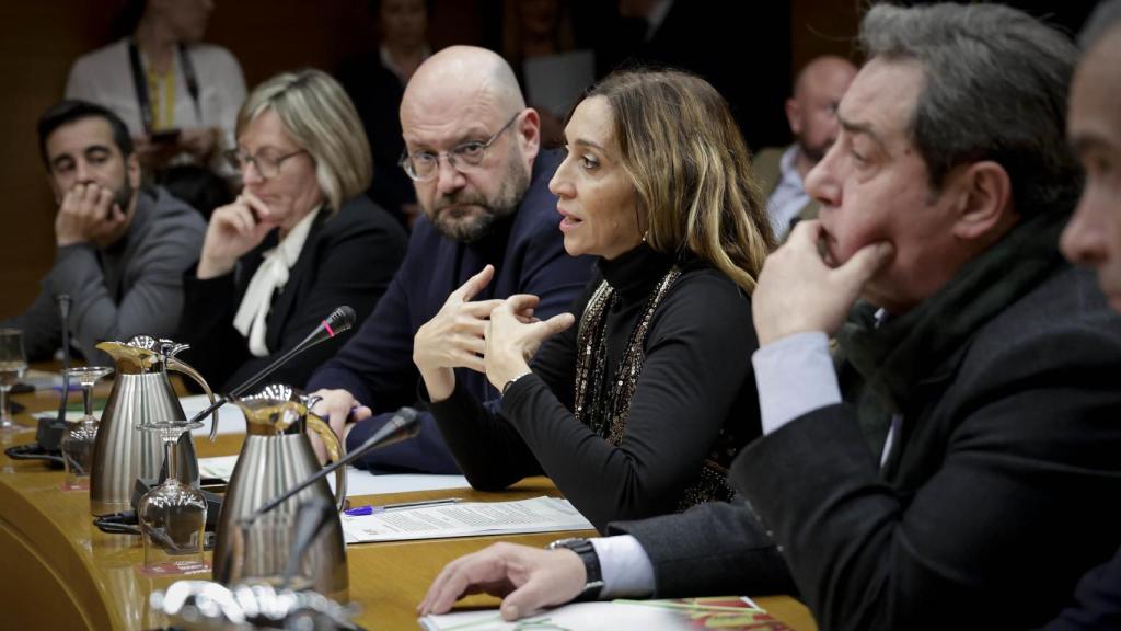 La portavoz de Compromís, Isaura Navarro. Corts / José Cuéllar