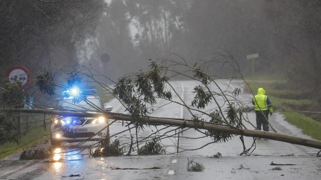 Un árbol corta la carretera en Negreira, La Coruña.