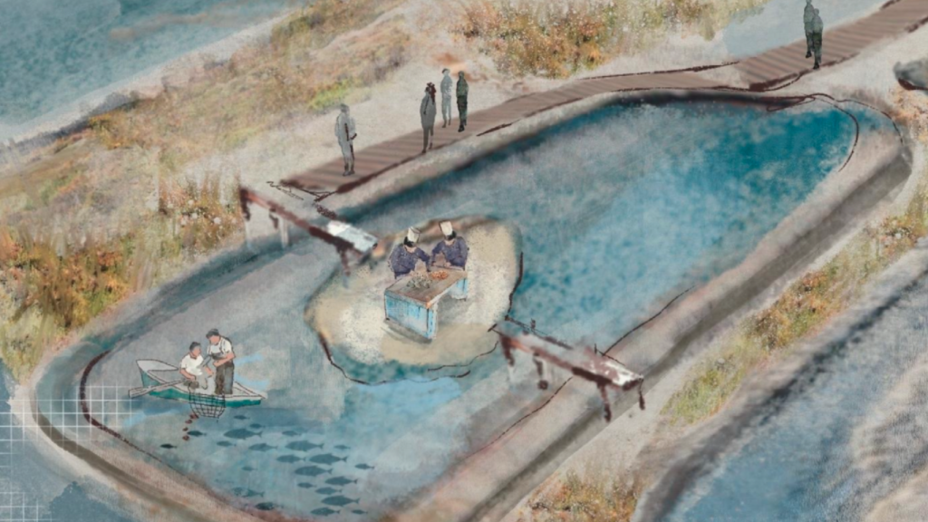 La marisma de Aponiente.