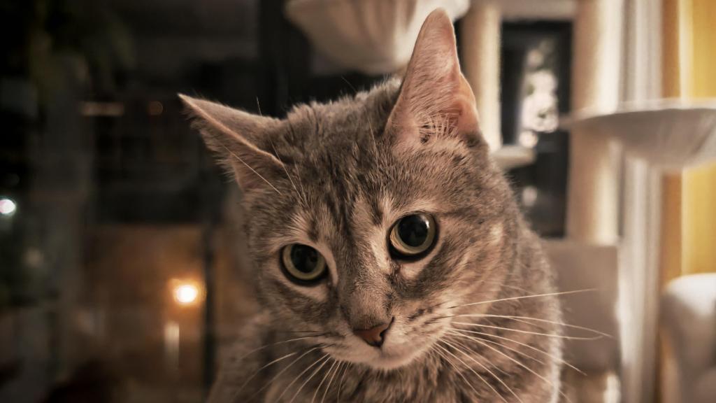 Un retrato para sacar partido del teleobjetivo del Honor Magic7 Pro