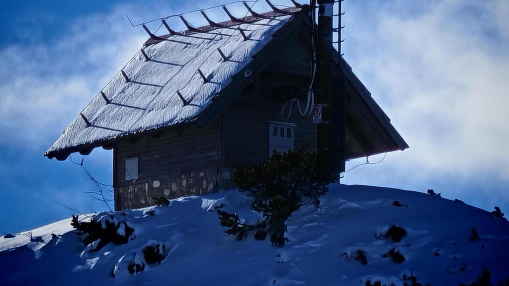 Misma foto con 100x y el modo Superzoom IA