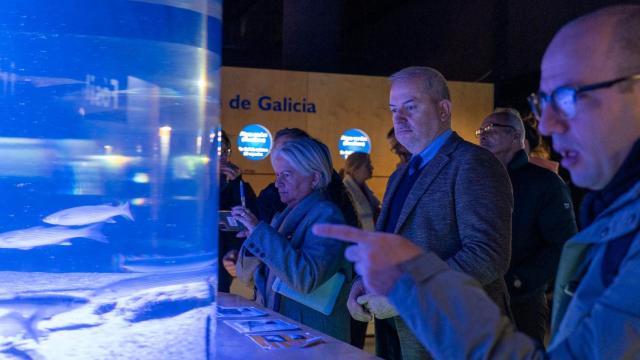 Delegación del gobierno cunabo en el Aquarium