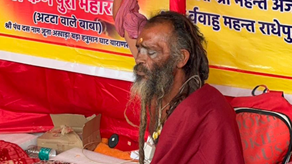 Los sadhus se pasan los 45 días del festival meditando y purificando su alma.