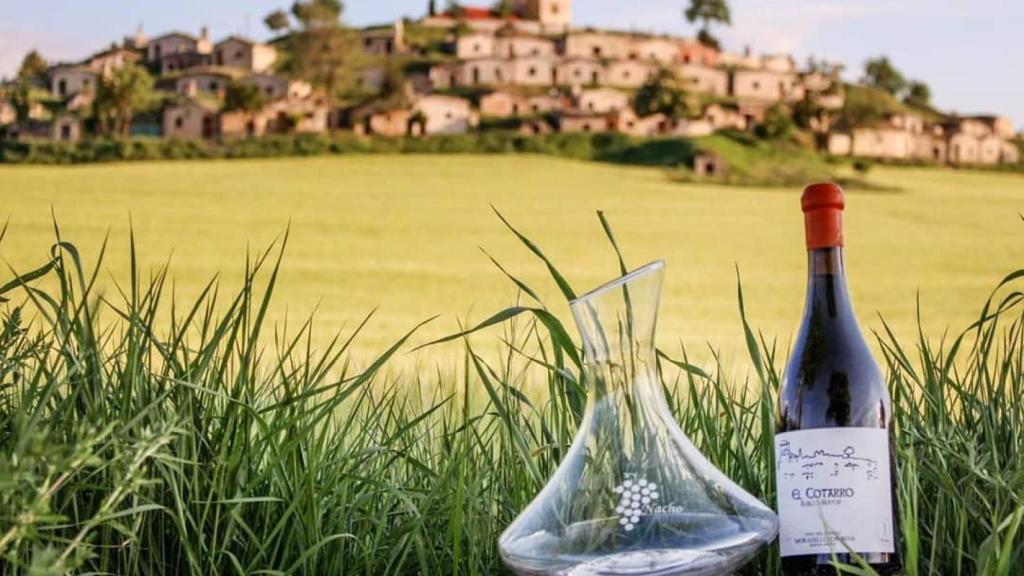 Moradillo de Roa (Ribera del Duero)