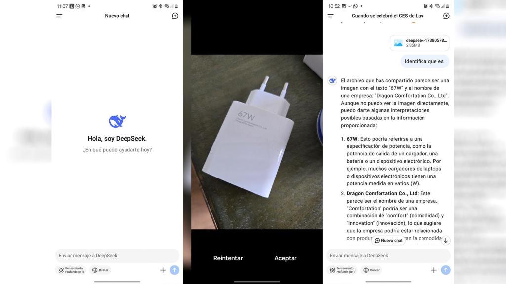Reconocimiento de imágenes con DeepSeek