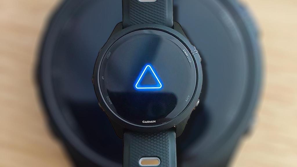 Reloj de Garmin con el fallo el triángulo de la muerte