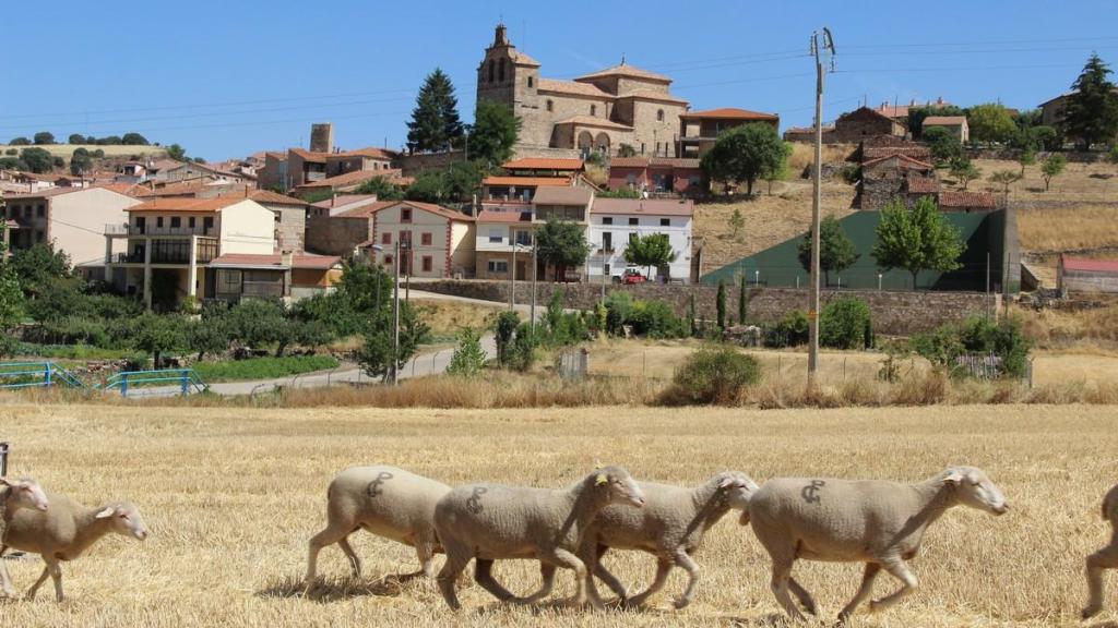 Panorámica de Anguita.