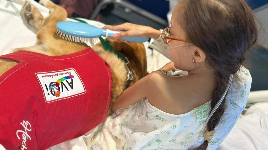 Una paciente cepillando a uno de los perros durante una de las sesiones