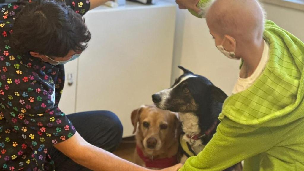 Una de las actividades realizadas con los perros