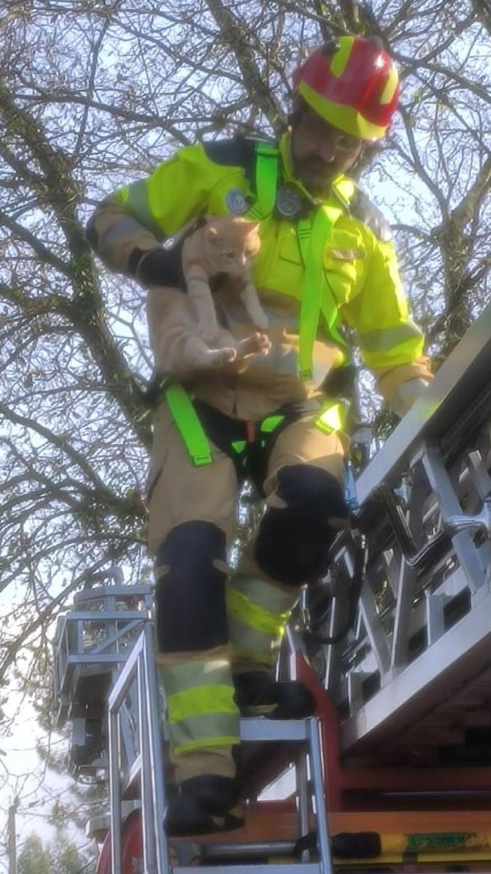 Un bombero rescatando a un gato atrapado por el temporal